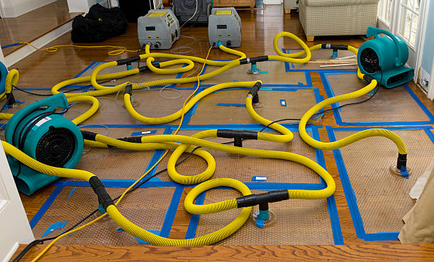 Professional Basement Flood Cleanup technician working in Van Dyne, WI